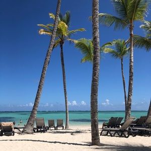 Meet your Posher, Chloe